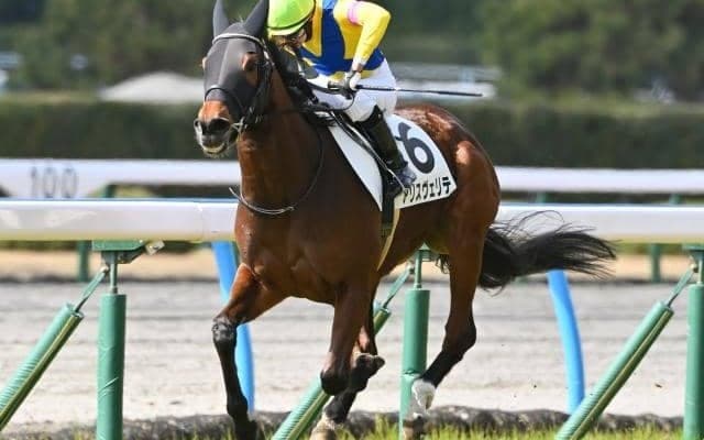 【AI予想・新潟記念】前走2000m組の取捨が的中の鍵を握る それぞれに違う魅力を持つ本命候補とは