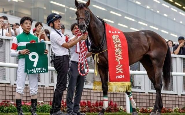 2歳戦の複勝率“88.9％” 新潟2歳S覇者トータルクラリティも該当するバゴ産駒の「好走パターン」