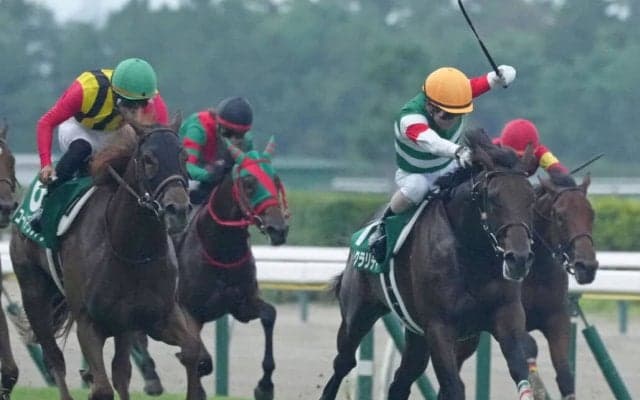 【新潟2歳S】トータルクラリティがゴール前差し返す！デビュー2連勝