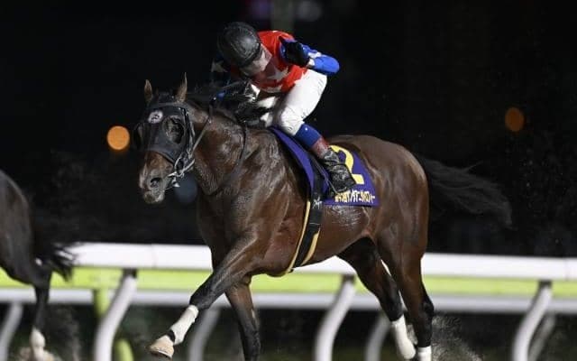 【船橋・フリオーソLC枠順】重賞連勝狙うデュードヴァンは1枠1番
