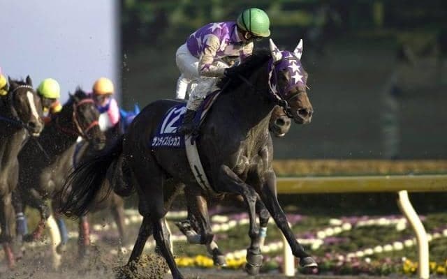 ストームキャット系の土台作った名種牡馬「ヘネシー」を紹介 近年はダートのみならず芝でも活躍