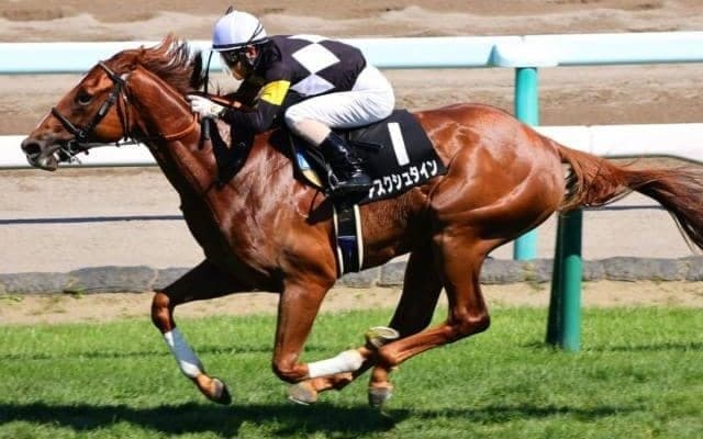 コスモス賞7馬身差Vの逸材 札幌2歳Sで18年破られていないジンクスを克服するか