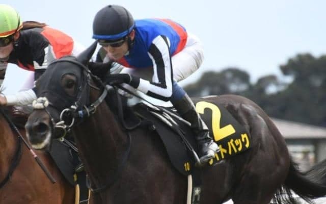 【新潟記念予想オッズ】ライトバックが予想1番人気