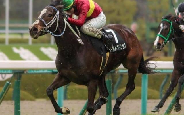 15年有馬記念覇者の産駒が新潟記念でJRA重賞初Vへ 秋の大目標に向け弾みをつけるか