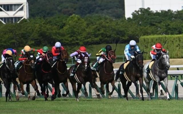 【小倉2歳S予想オッズ】エコロジークが予想1番人気