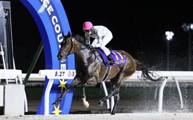 【ブリーダーズGC】武豊オーサムリザルトが無傷の7連勝