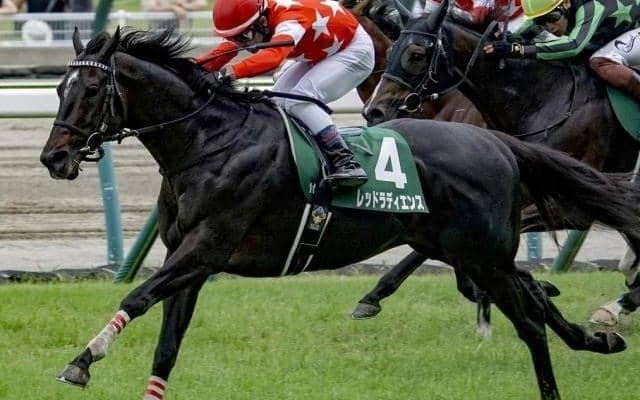 26年ぶりの連勝なるか “サマー王者”の称号狙う七夕賞覇者が新潟記念に挑む