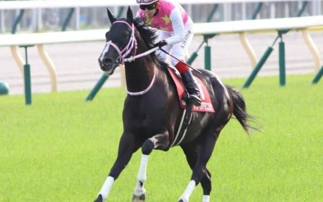 四半世紀ぶりの勝利“ヲ”飾れるか ジューンアヲニヨシが新潟記念に挑む