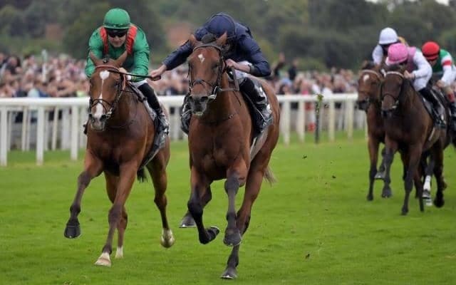 この秋も欧州競馬はオブライエン勢中心か シティオブトロイがインターナショナルS制す