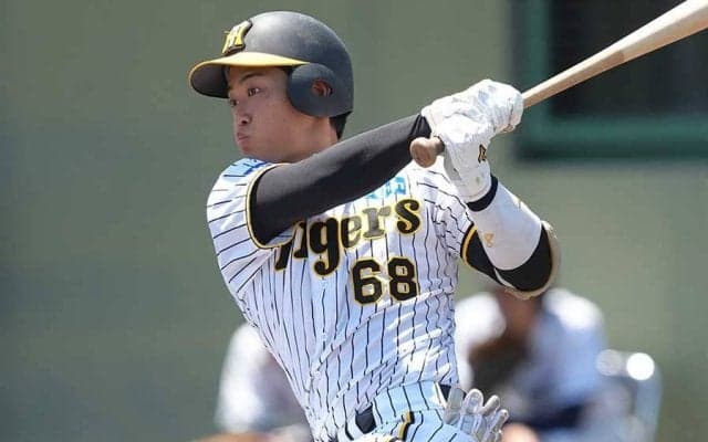 阪神20歳を「1軍に上げてほしい」　現れた“打てる捕手”に騒然…止まらぬ打棒「.350」