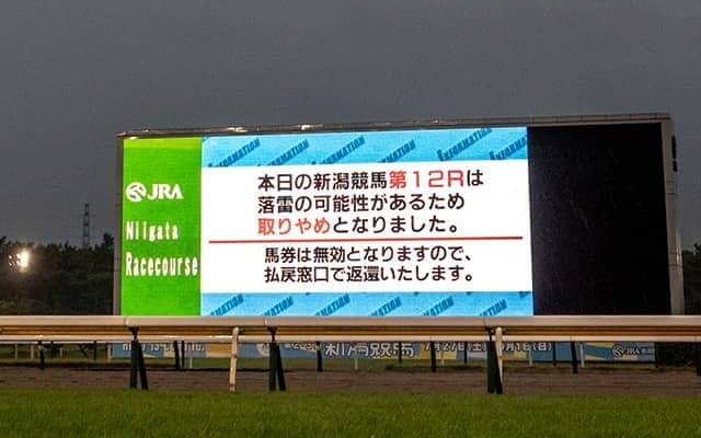 悪天候や災害時に競馬開催の可否は誰が決める？ ルールについてJRAに尋ねてみると