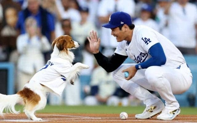 「今まで見たことないほど、キュートな始球式！」大谷翔平の愛犬デコピンが始球式に登場→直後に本人は先頭打者アーチで42号をマーク