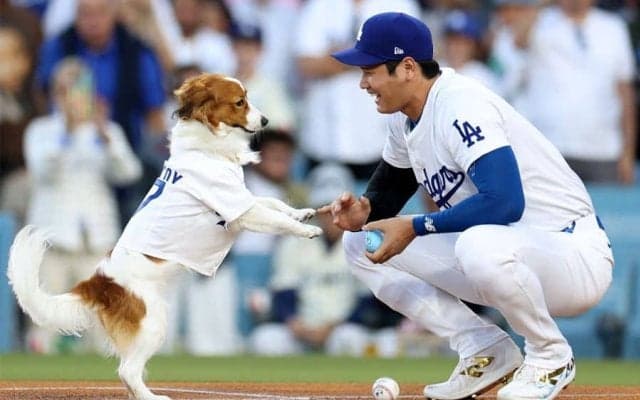 愛犬デコピンが初の大役　大谷翔平がSNS更新で“お宝写真”公開…「デコイの始球式」