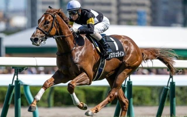 【札幌2歳S出走馬・騎手確定】アスクシュタイン＆北村友一騎手、マテンロウサン＆横山和生騎手など12頭