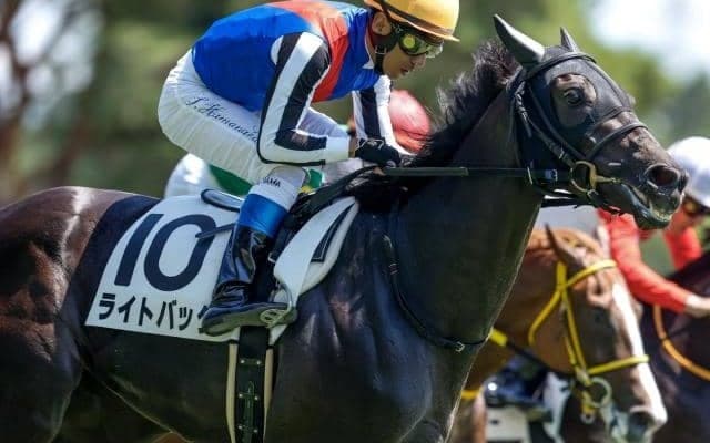 【新潟記念出走馬・騎手確定】ライトバック＆坂井瑠星騎手、レッドラディエンス＆戸崎圭太騎手など12頭