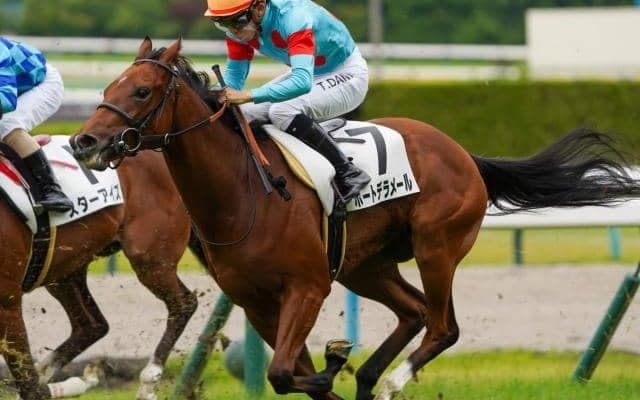 近親にシャフリヤールやアルナシーム 良血馬が小倉2歳Sで重賞初V狙う