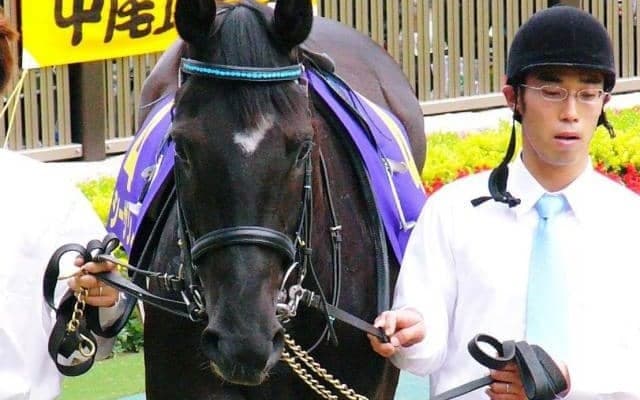 名牝シーザリオの孫 ルメール騎手を背に土曜新潟でデビューVなるか