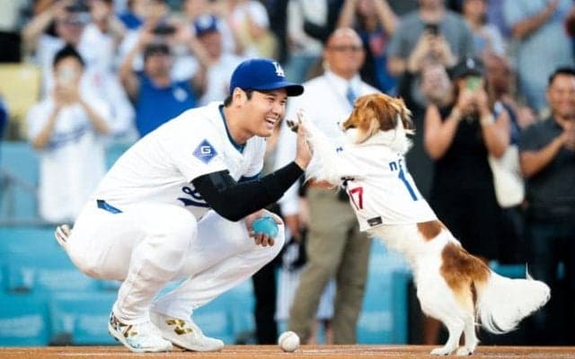 「真美子さんが選んだのかな」大谷翔平、デコピン始球式の“おやつ入れ”が話題沸騰！「お揃いじゃない！？」「私も使ってる」