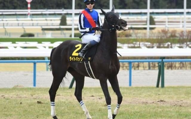 【新潟記念枠順確定】ライトバックは2枠2番、レッドラディエンスは8枠12番