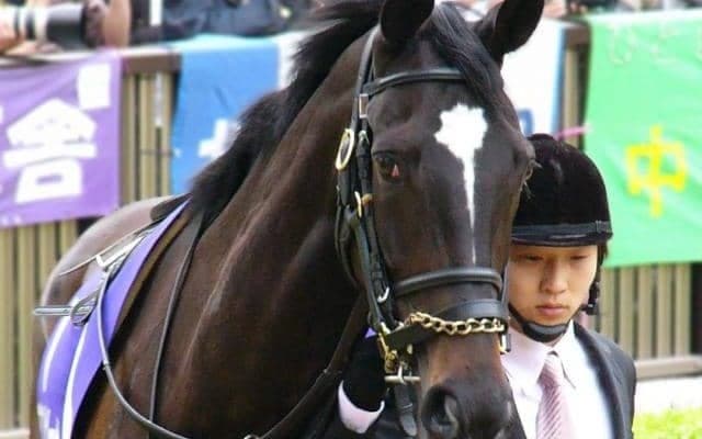 22年セレクトセールの超高額落札馬 “黄金タッグ” でデビュー戦Vなるか