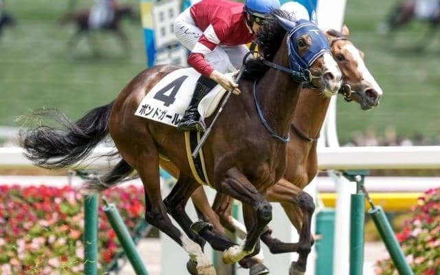 【紫苑S想定馬・騎手】ボンドガール、カンティアーモなど14頭