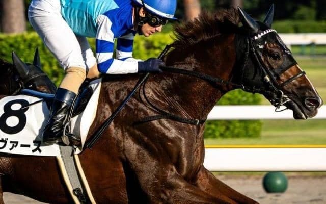 一族に活躍馬多数“大魔神血統”の3歳馬 秋の大舞台に向け連勝狙う