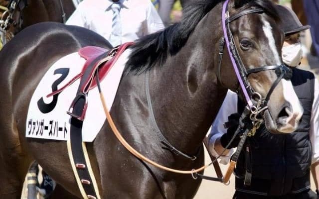 半兄はGI・3勝のエフフォーリア ヴァンガーズハートが惜敗続きに終止符なるか