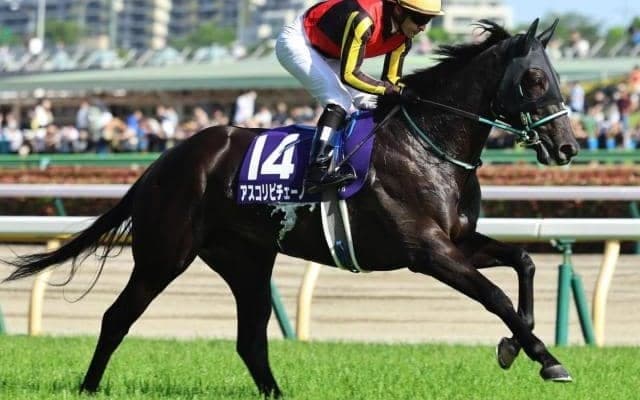 【京成杯AH想定馬・騎手】アスコリピチェーノ、ディオなど16頭