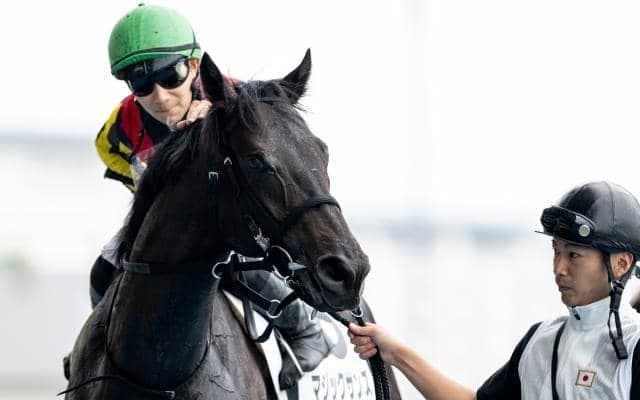 【今日の注目ポイント】札幌開催の2歳チャンプ決定戦・札幌2歳S