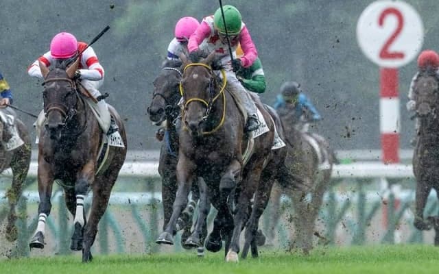 【札幌5R新馬戦結果】サトノダイヤモンド産駒ダイシンラーがゴール前で差し切りV