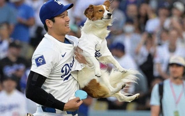 美人レポーターも注目…大谷の新たな才能　寄せた珍依頼「訓練してもらえないかしら」