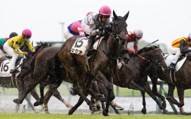 【中京7R】良血マルモアが初勝利…母はマーブルカテドラル