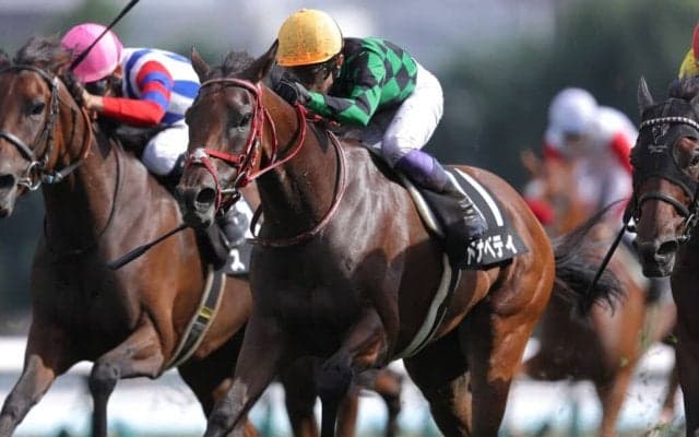 【アジア競馬連盟T】武豊ドナベティがV…札幌リーディングを爆走