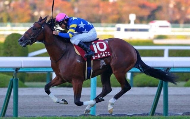 オールパルフェの競走馬登録抹消…2歳重賞で活躍
