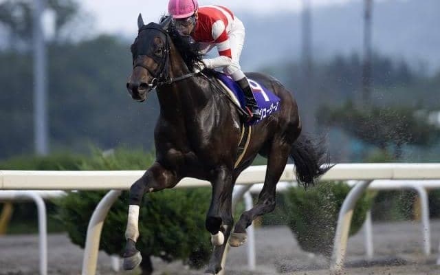 【盛岡・不来方賞枠順】無敗馬フジユージーンは6枠8番、3連勝で鳳雛Sを制したカシマエスパーダは4枠4番
