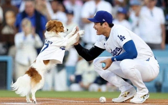 「Decoyが1番！」人気は大谷、カーショー超え？始球式登場の愛犬デコピンの反響止まらず「次の登場はいつ？」