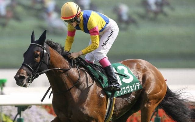競馬・新潟記念は今年も荒れる!?　人気馬の陰に隠れた２頭の素質馬が高配当を運んでくる
