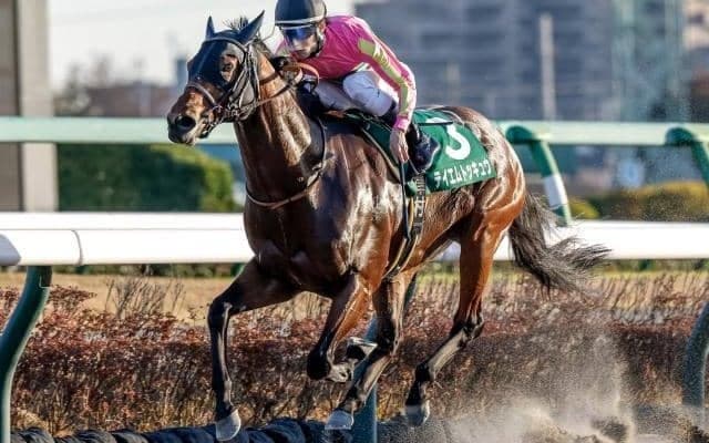 【佐賀・サマーチャンピオン注目馬】JBCスプリントに向けても見逃せない一戦