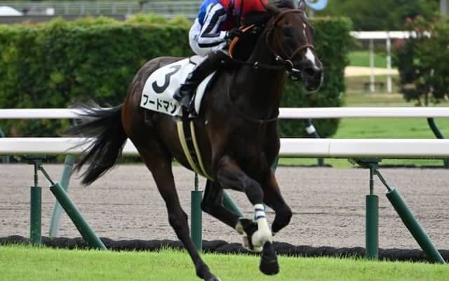 【中京5R新馬戦結果】キングマン産駒のフードマンが押し切り勝ち