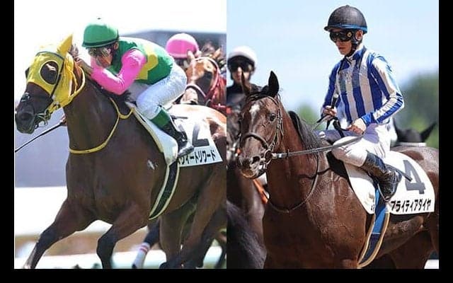 【札幌4R/3歳未勝利】1着同着で2頭が初勝利