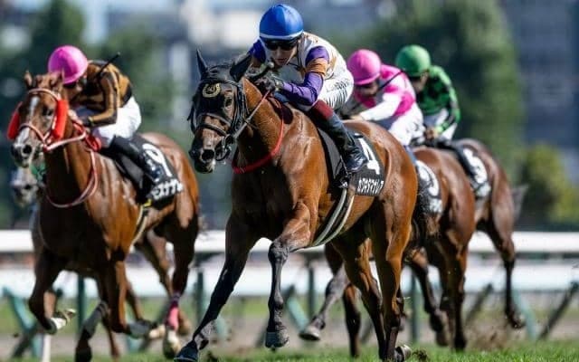 【シンガポールTC賞結果】カワキタマナレアが突き抜け無傷の2連勝