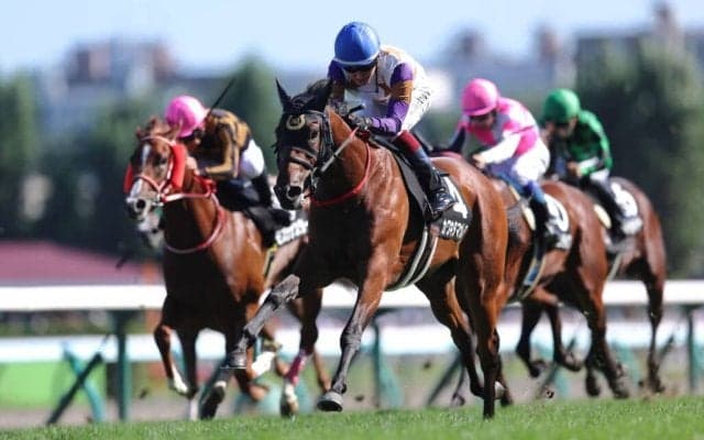 【シンガポールTC賞】カワキタマナレアがデビュー2連勝