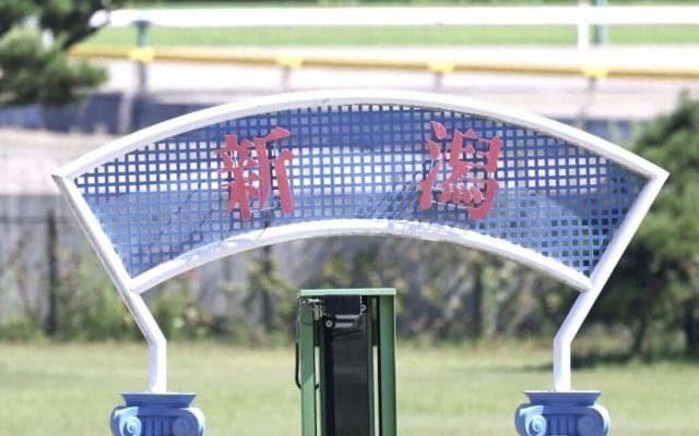 【新潟記念】混戦のゴール前はシンリョクカが制する…3歳牝馬ライトバックは放馬で競走除外