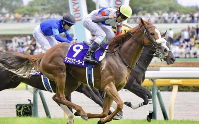 秋競馬が開幕！ セントウルSなど3重賞/今週の競馬界の見どころ