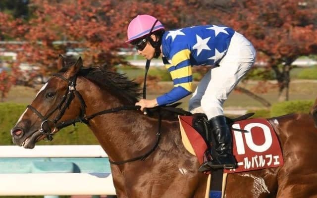 22年のデイリー杯2歳Sを制したオールパルフェが登録抹消 今後は園田競馬に移籍