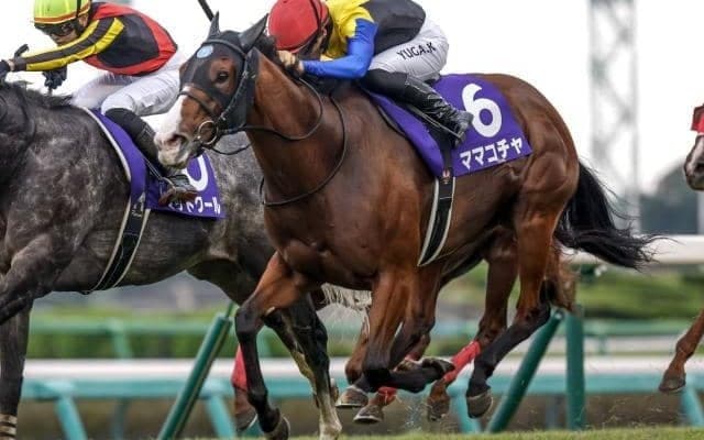 【セントウルS見どころ】スプリンターズS連覇を狙うママコチャ