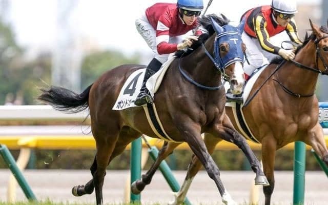 【紫苑S見どころ】善戦ウーマンを払拭するボンドガール