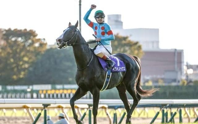 社台SSが今シーズンの交配頭数を発表 種付け料2000万円のイクイノックスは203頭、キズナが最多で218頭