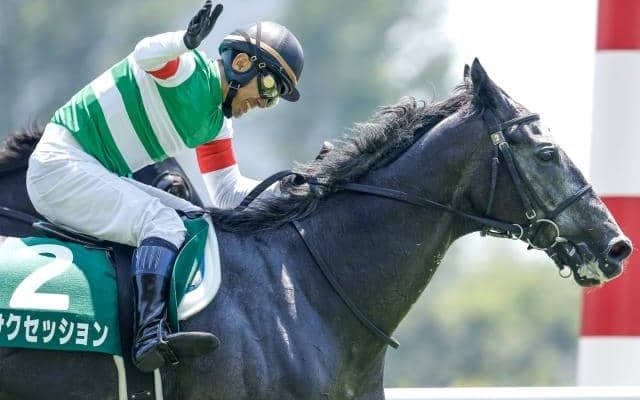 【先週のJRA抹消馬】昨年の新潟JS覇者サクセッション、22年のNHKマイルCで波乱呼んだカワキタレブリーなど