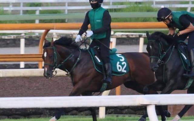 母系にGI馬複数 師も太鼓判押すパンジャタワー/関西馬メイクデビュー情報